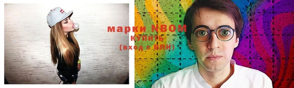 индика Абинск