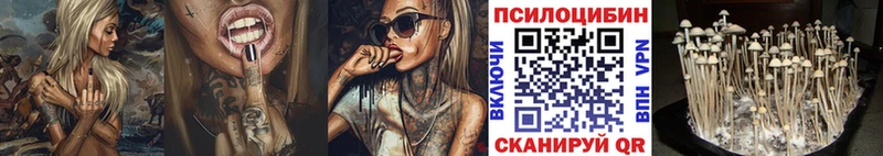 Галлюциногенные грибы ЛСД Брянск